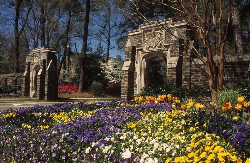 Duke University gates with flowers in front