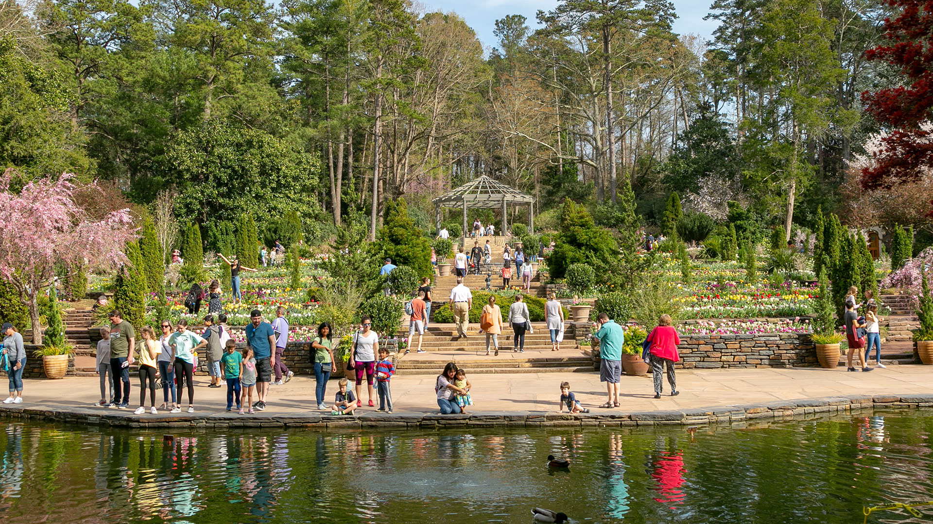 A recent photo of Duke Gardens terraces in spring