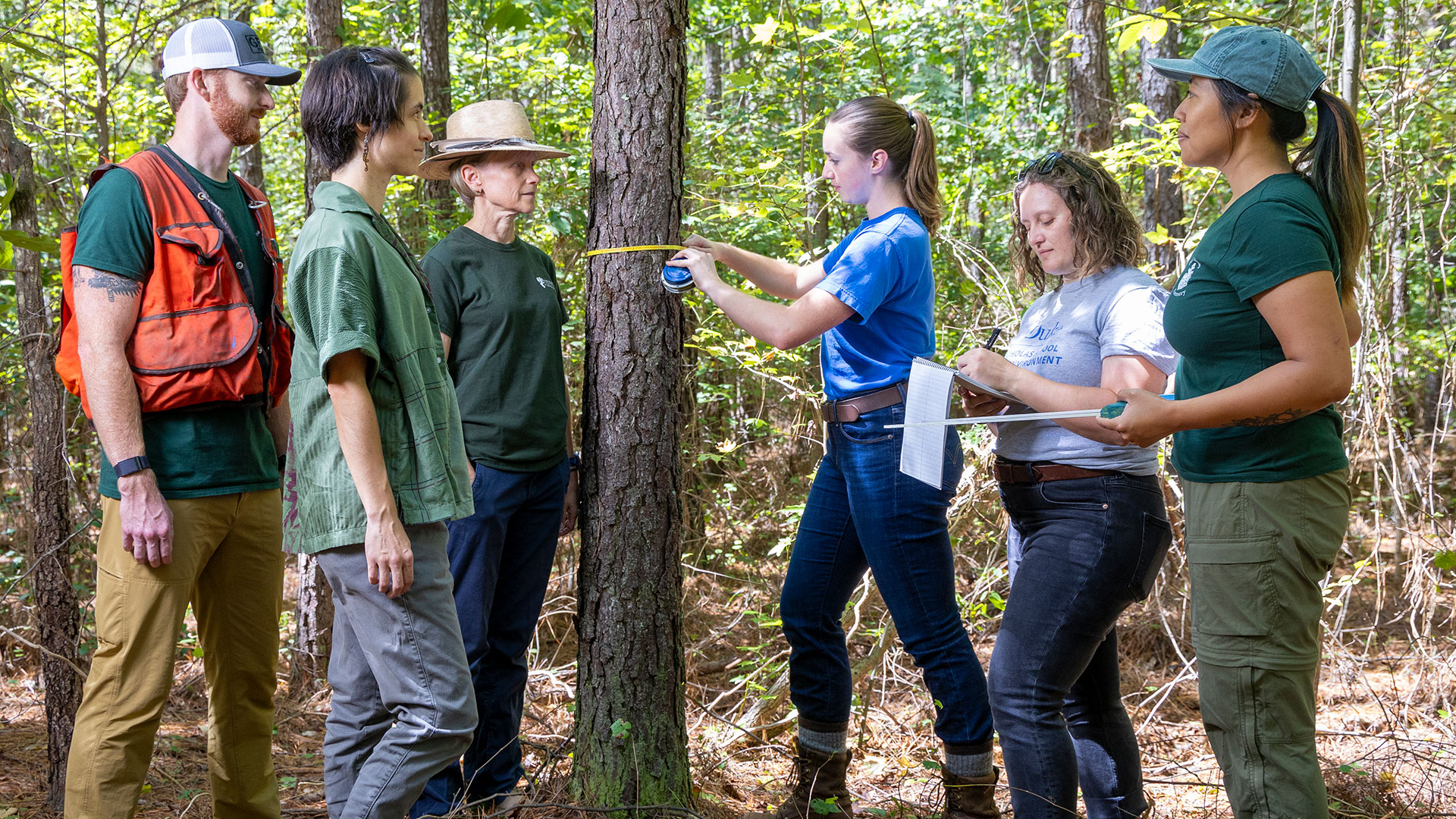 A color photo of students surveying a tree in Duke Forest