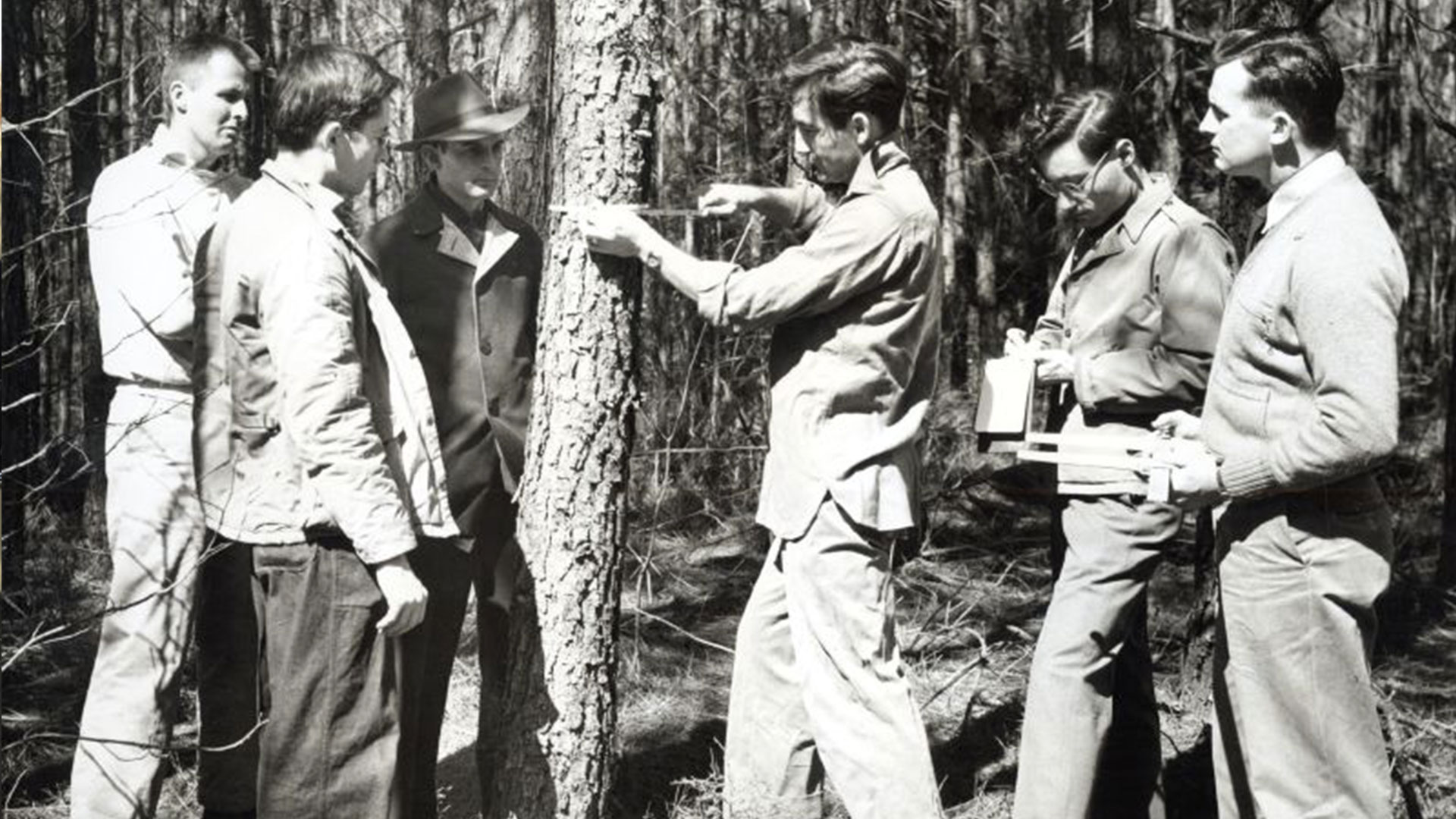 A black and white photo of students measuring a tree