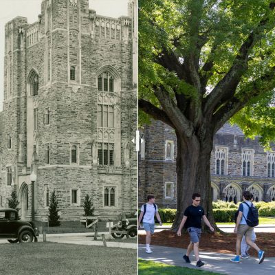 Split photo of west union with an old photo with a tiny tree and a current photo with a very large tree