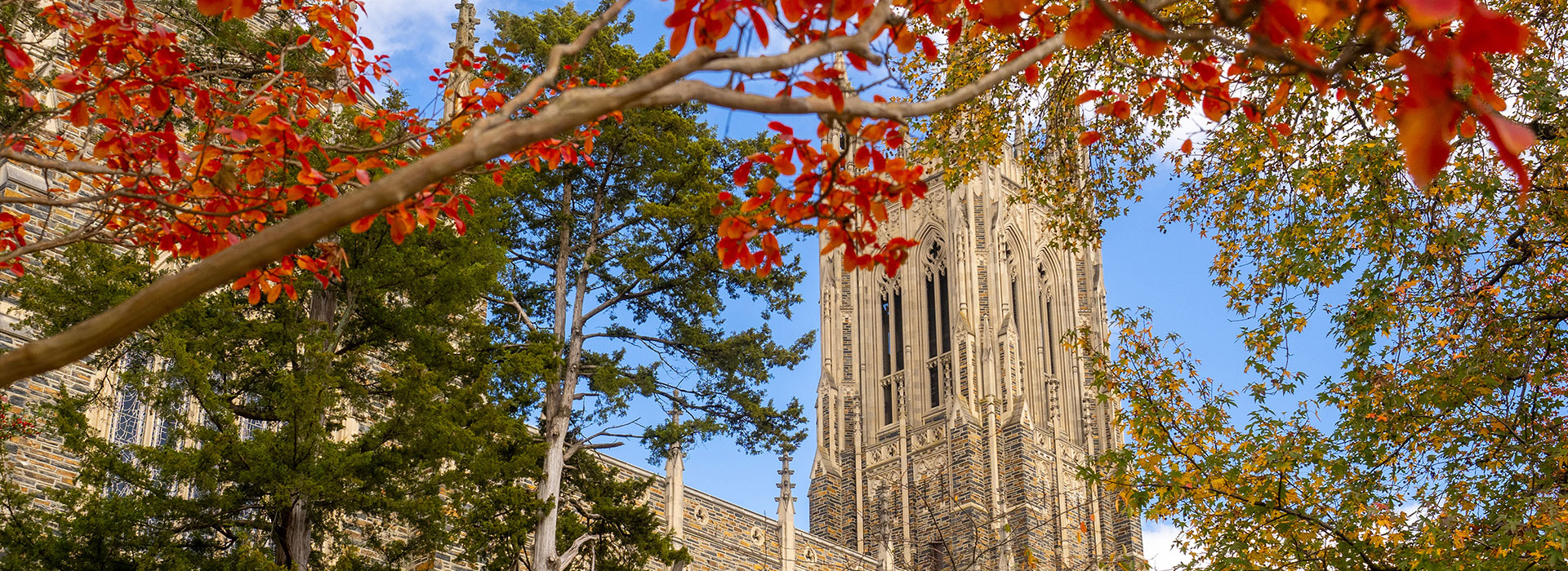 Duke Chapel with red leaves in a tree in the foreground