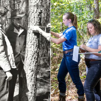 A split view of two groups of students surveying in Duke Forest