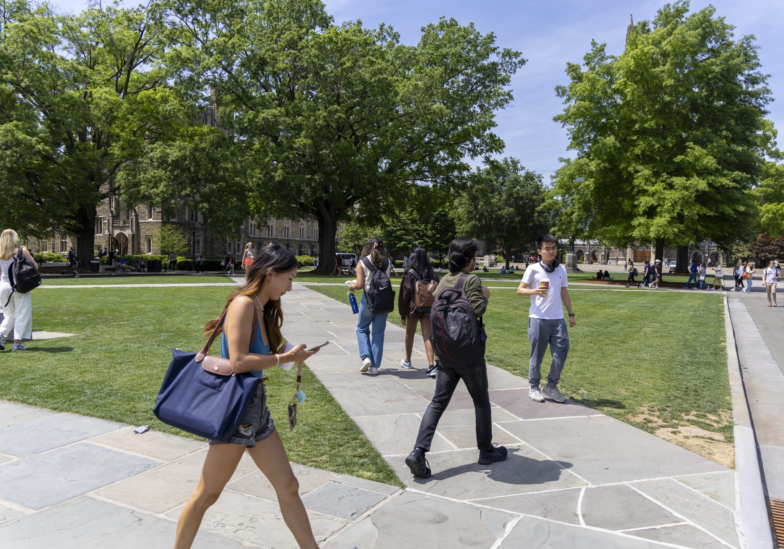 Students walking around Abele bus stop in 2024